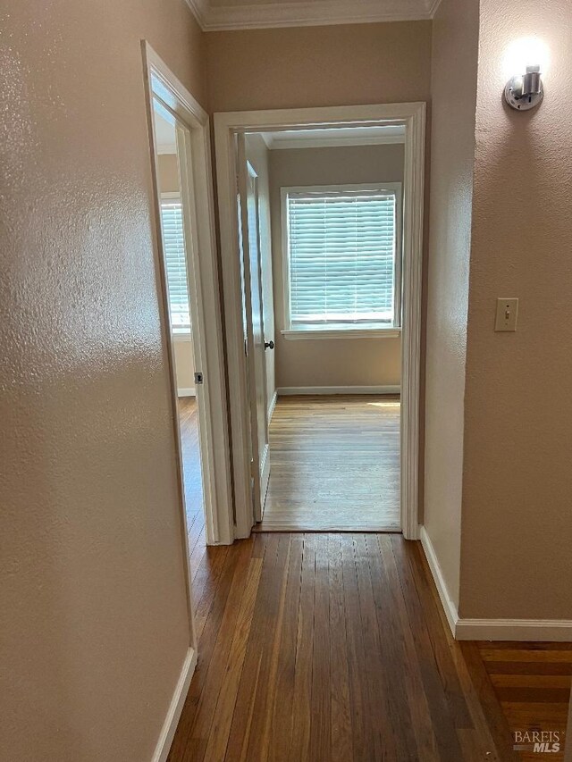 hallway with wood-type flooring, crown molding, and baseboards