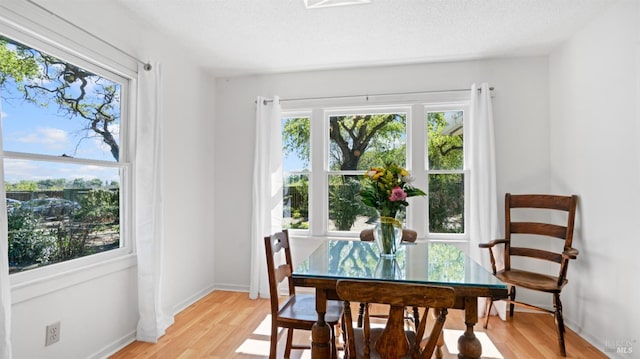 dining area featuring baseboards, a textured ceiling, and light wood-style flooring