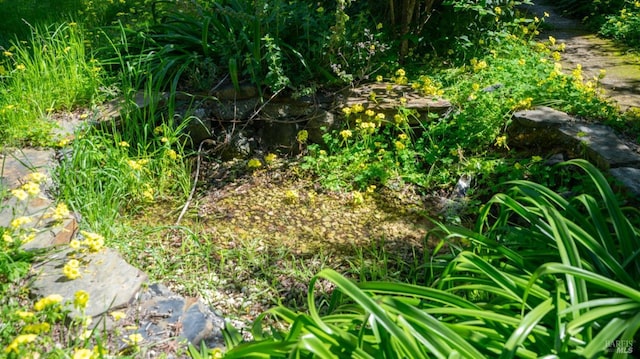 view of landscape featuring a garden pond
