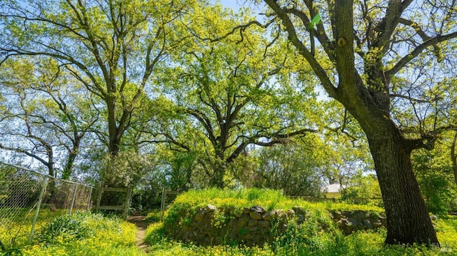view of nature
