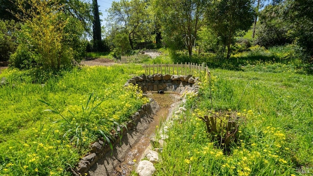 view of yard with a vegetable garden