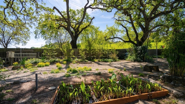 view of yard with a fenced backyard and a vegetable garden