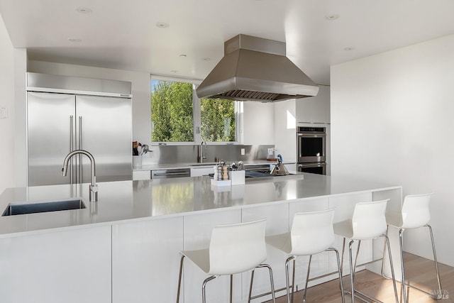 505 Dusty Ln, Sebastopol, CA 95472 - kitchen with a sink, appliances with stainless steel finishes, modern cabinets, and island exhaust hood