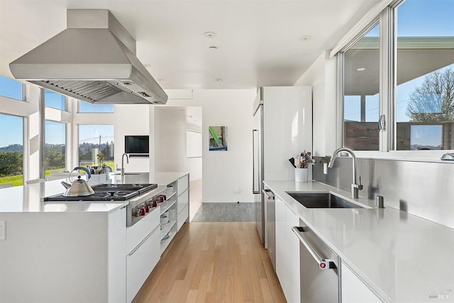 505 Dusty Ln, Sebastopol, CA 95472 - kitchen featuring island exhaust hood, modern cabinets, stainless steel appliances, and white cabinetry