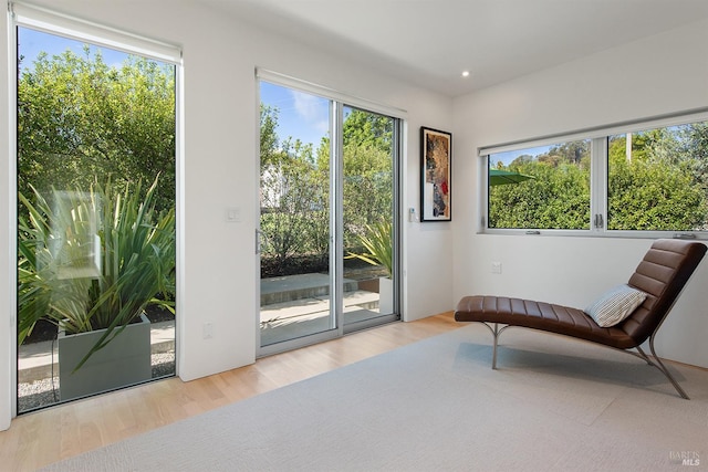 505 Dusty Ln, Sebastopol, CA 95472 - sitting room with healthy amount of natural light, wood finished floors, and recessed lighting