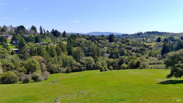 505 Dusty Ln, Sebastopol, CA 95472 - mountain view