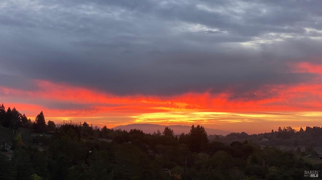 505 Dusty Ln, Sebastopol, CA 95472 - view of local wilderness