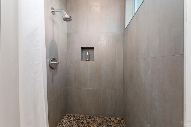 505 Dusty Ln, Sebastopol, CA 95472 - full bathroom with tiled shower