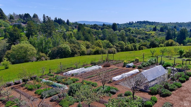 505 Dusty Ln, Sebastopol, CA 95472 - view of rural area