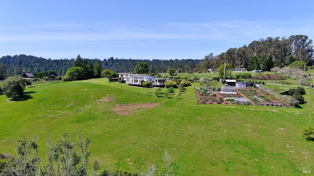 505 Dusty Ln, Sebastopol, CA 95472 - aerial view of property and surrounding area featuring a forest