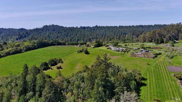 505 Dusty Ln, Sebastopol, CA 95472 - overview of rural landscape with a forest