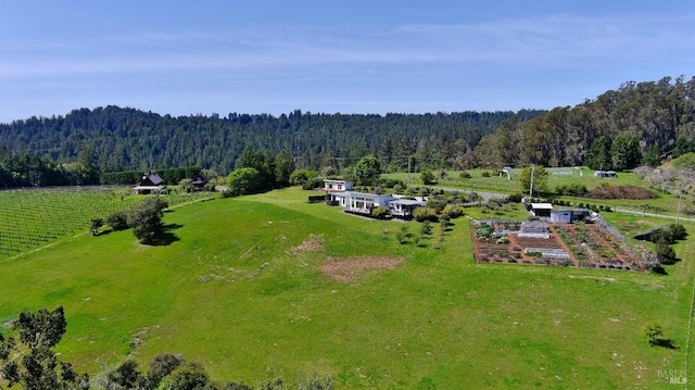 505 Dusty Ln, Sebastopol, CA 95472 - aerial view of sparsely populated area with a forest
