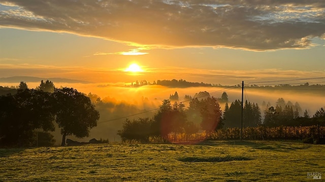 505 Dusty Ln, Sebastopol, CA 95472 - view of nature at dusk