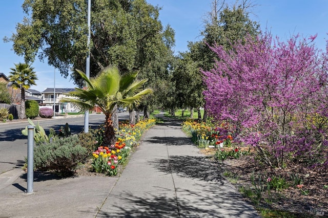 view of surrounding community