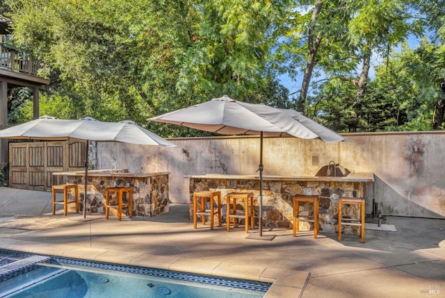 view of pool with outdoor dry bar and a patio
