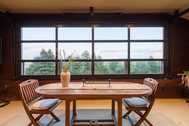 dining room with a wealth of natural light