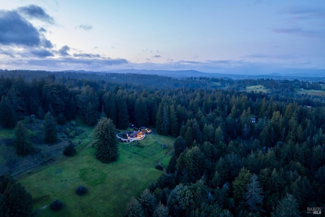 bird's eye view featuring a wooded view and a mountain view