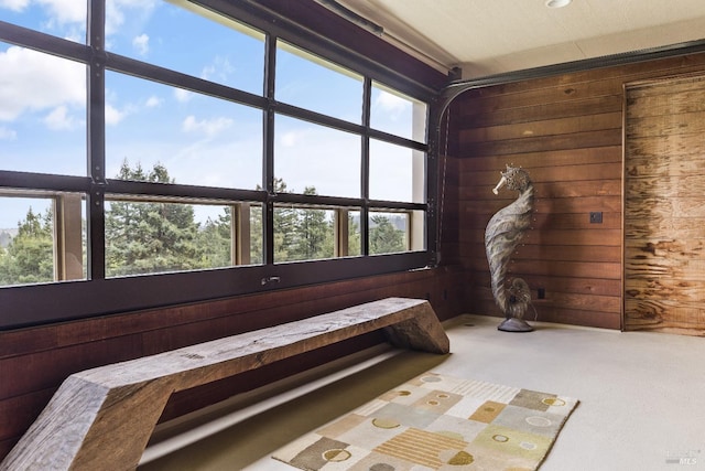interior space featuring wooden walls