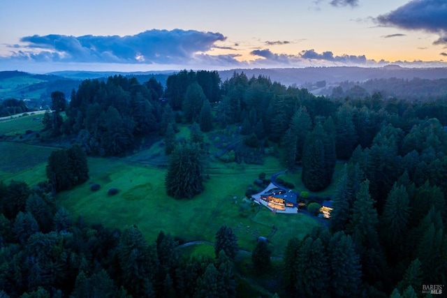 birds eye view of property featuring a view of trees and a mountain view