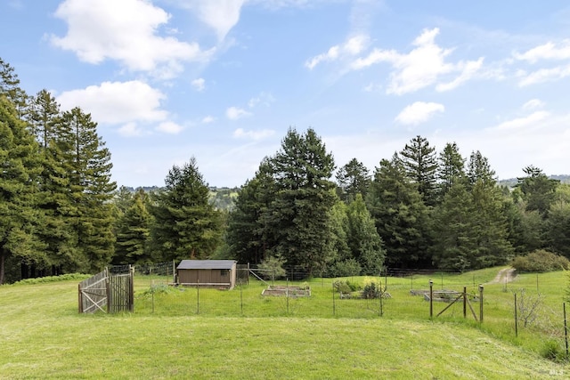 view of yard with an outdoor structure, fence, a wooded view, and a rural view