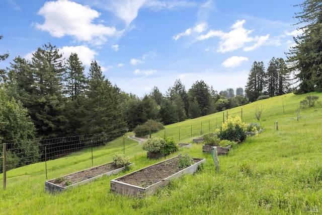 view of yard featuring a rural view, fence, and a vegetable garden
