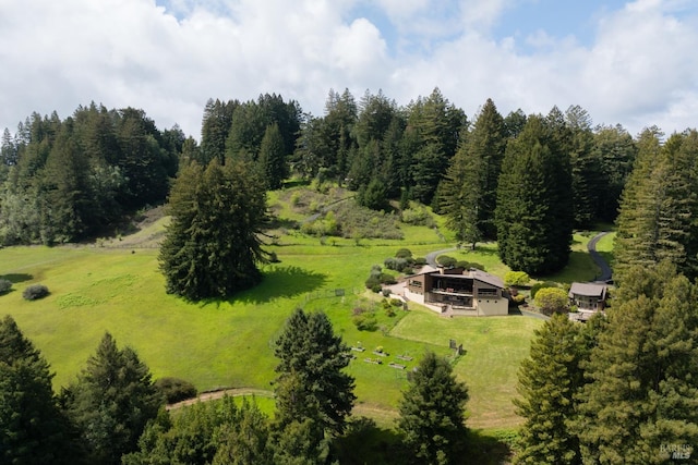 drone / aerial view with a rural view and a forest view