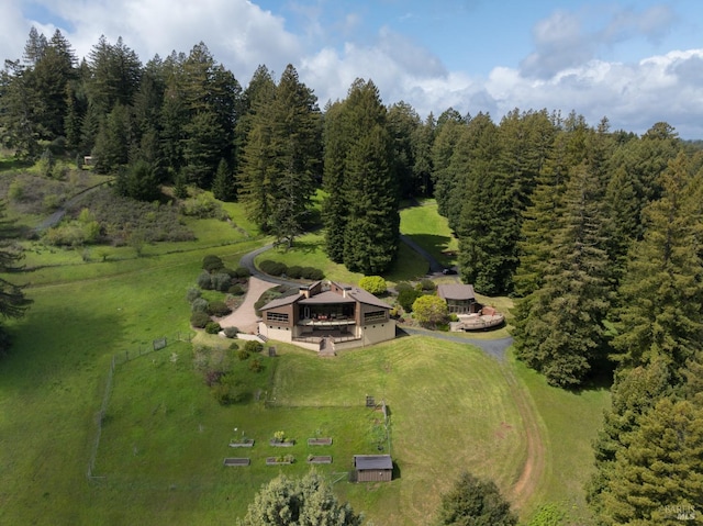 aerial view