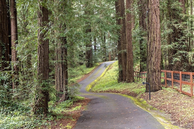 view of road featuring a view of trees