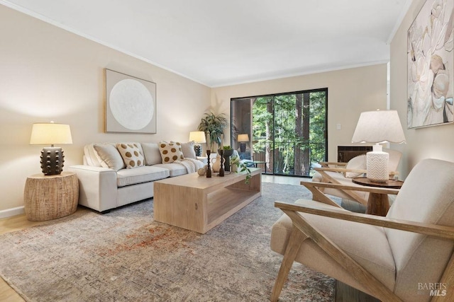 living area featuring ornamental molding and wood finished floors
