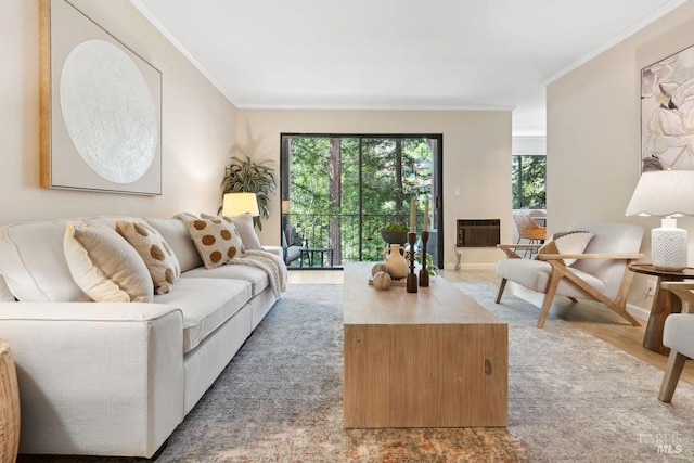 living room with a wall mounted AC, crown molding, and light wood-style floors