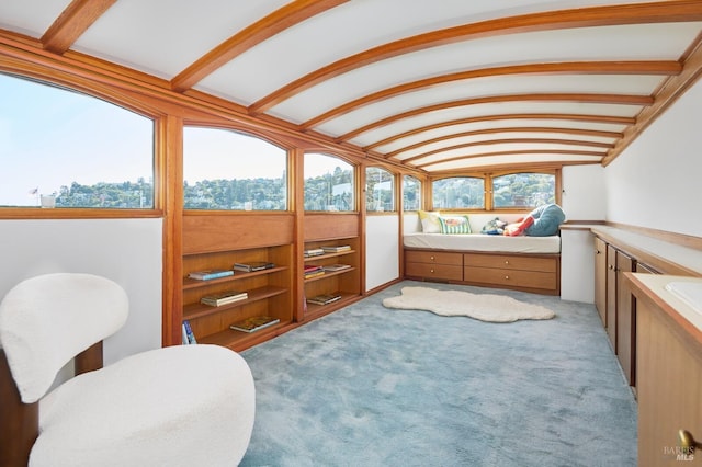 2 Beach Rd, Belvedere, CA 94920 - bathroom with vaulted ceiling and built in shelves