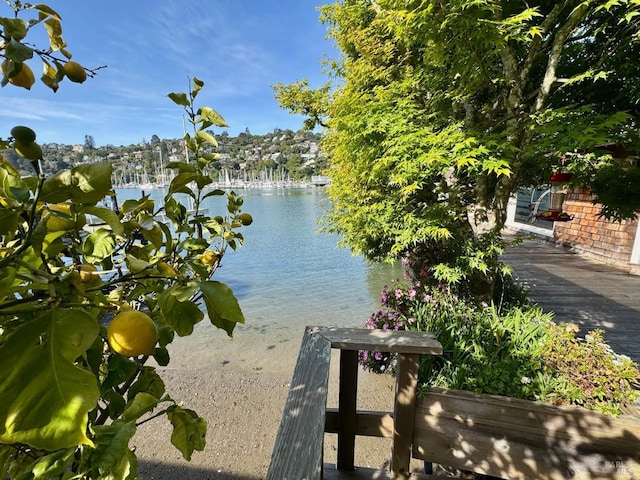 2 Beach Rd, Belvedere, CA 94920 - water view