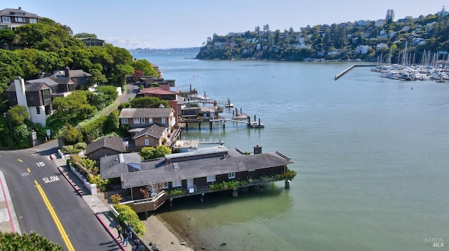 2 Beach Rd, Belvedere, CA 94920 - dock area featuring a water view