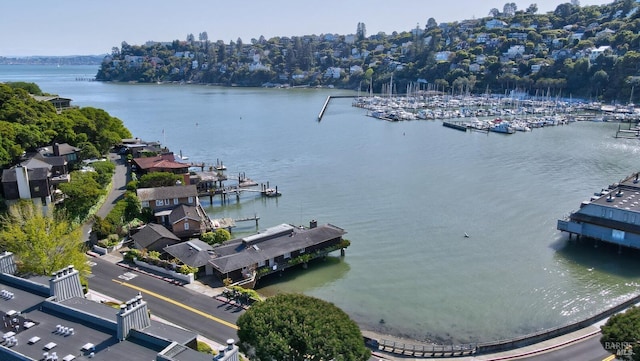 2 Beach Rd, Belvedere, CA 94920 - water view with a marina