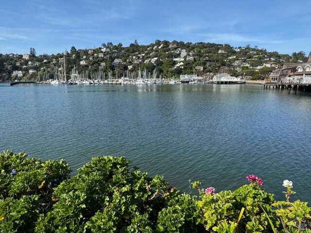 2 Beach Rd, Belvedere, CA 94920 - water view