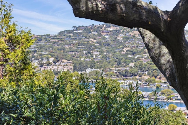 45 Bella Vista Ave, Belvedere, CA 94920 - mountain view with a water view