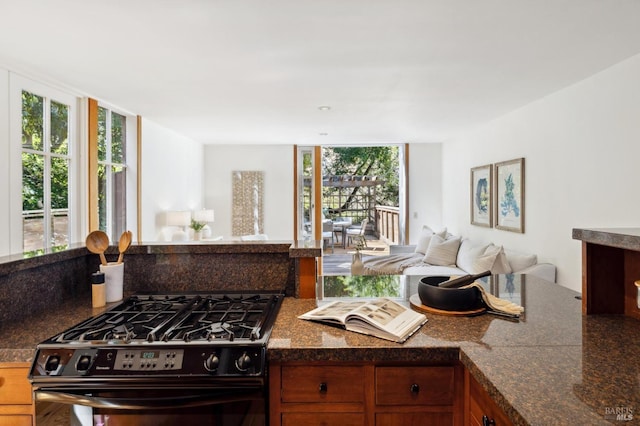 45 Bella Vista Ave, Belvedere, CA 94920 - kitchen featuring open floor plan, black range with gas cooktop, brown cabinetry, and dark countertops