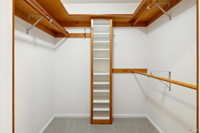 45 Bella Vista Ave, Belvedere, CA 94920 - walk in closet with carpet floors