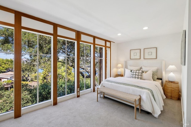 45 Bella Vista Ave, Belvedere, CA 94920 - bedroom featuring recessed lighting and carpet