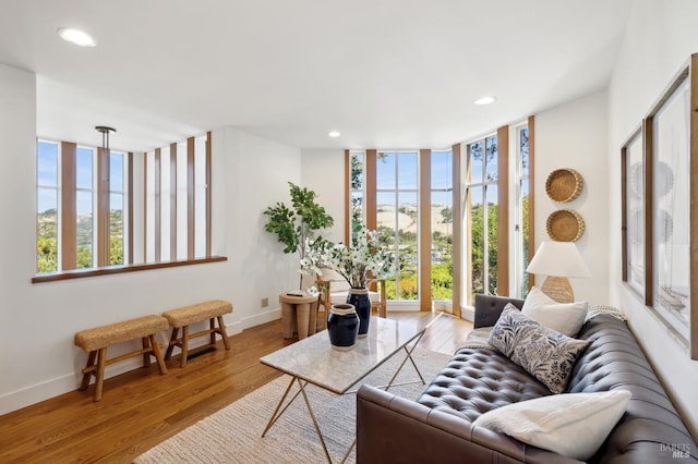 45 Bella Vista Ave, Belvedere, CA 94920 - living area featuring baseboards, floor to ceiling windows, wood finished floors, and recessed lighting
