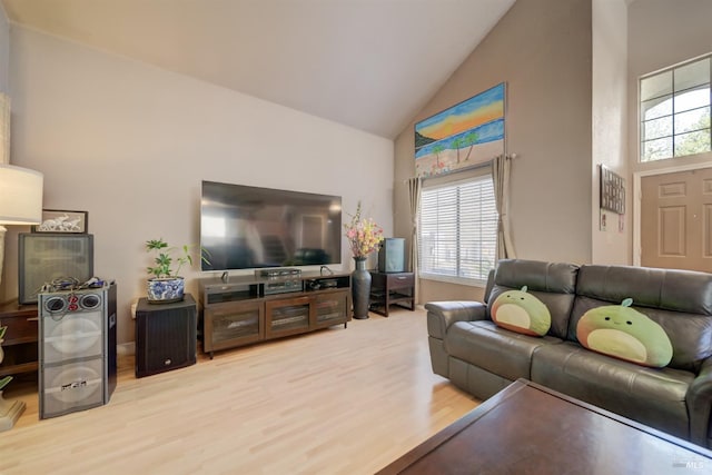 living room featuring wood finished floors and high vaulted ceiling