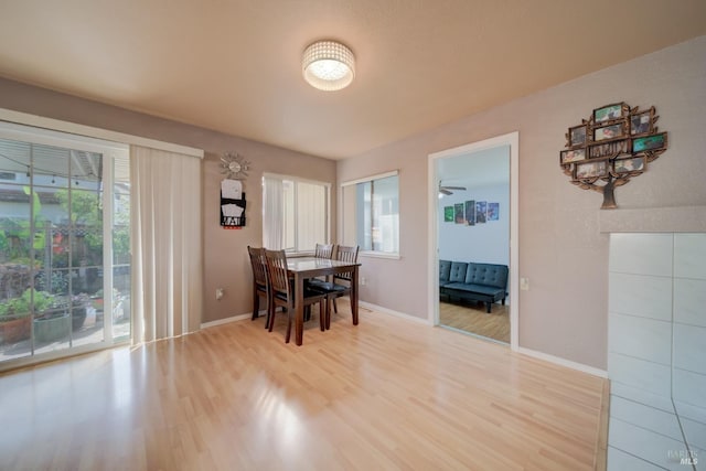 dining area with light wood-type flooring, a healthy amount of sunlight, and baseboards