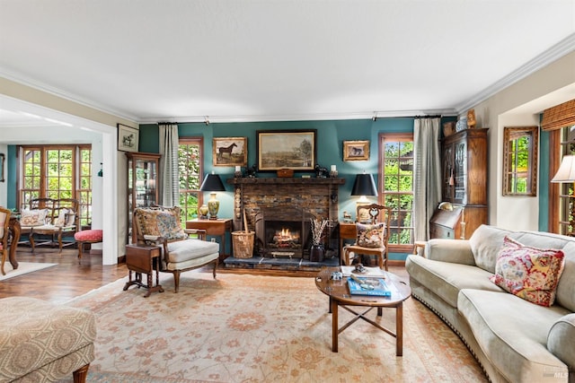 living room with a stone fireplace, a wealth of natural light, and ornamental molding