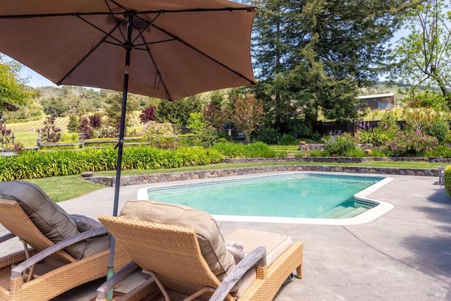 pool with fence and a patio area
