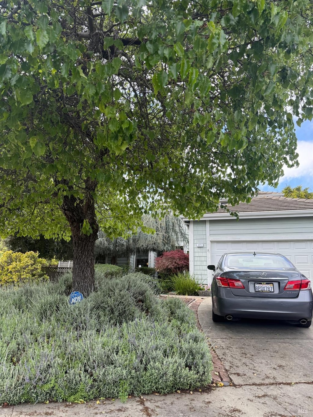 exterior space featuring an attached garage and concrete driveway