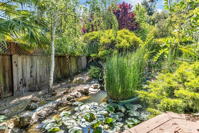 271 Antigua Way, Vallejo, CA 94591 - view of yard