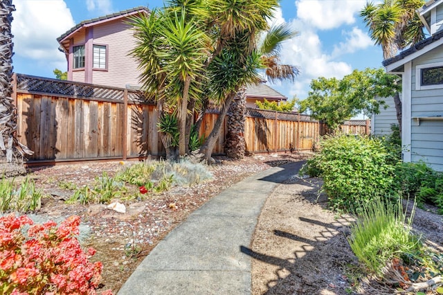 271 Antigua Way, Vallejo, CA 94591 - view of yard