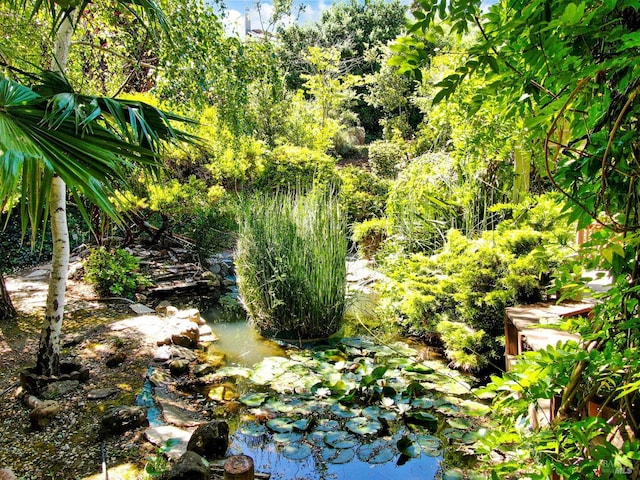 271 Antigua Way, Vallejo, CA 94591 - view of local wilderness