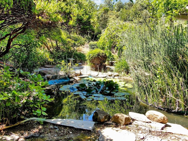 271 Antigua Way, Vallejo, CA 94591 - view of yard with a garden pond