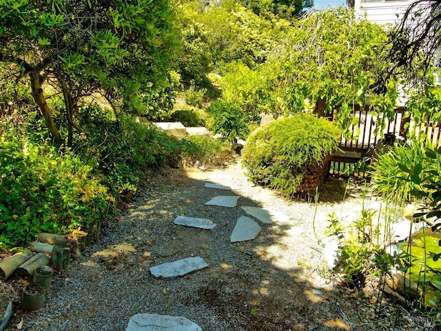 271 Antigua Way, Vallejo, CA 94591 - view of yard